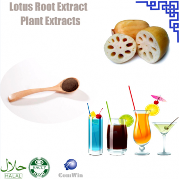 Lotus Root Extract