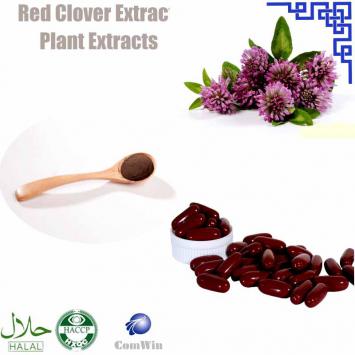 Red Clover Extract