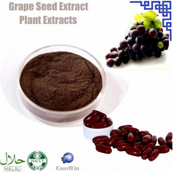 Grape Seed Extract