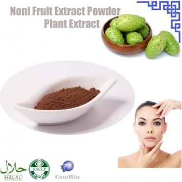Noni Fruit Extract Powder