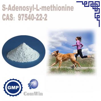 S-Adenosyl-L-Methionine (SAMe)