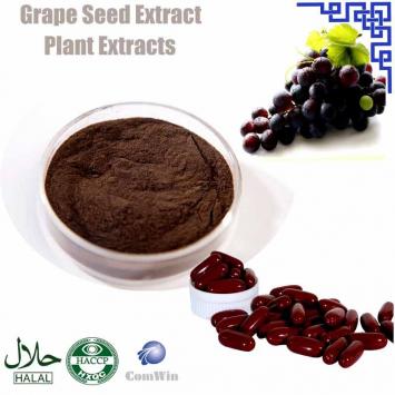Grape Seed Extract CAS 84929-27-1