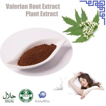 Valerian Root Extract CAS 8008-88-6