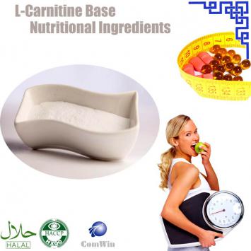 L-Carnitine Base 541-15-1