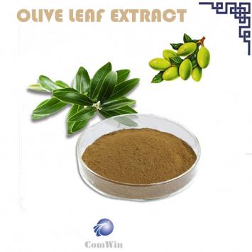 Olive Leaf Extract
