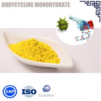 Doxycycline Monohydrate