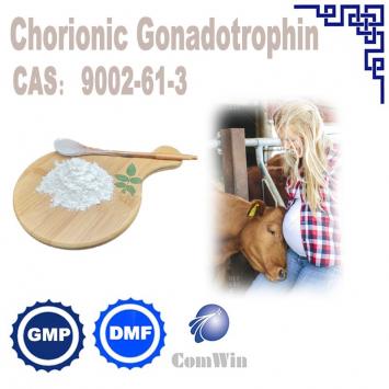 Human Chorionic Gonadotrophin