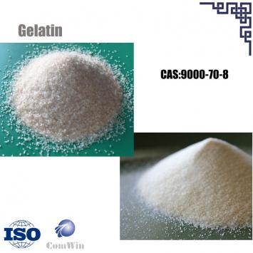 Gelatin Powder