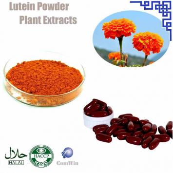 Lutein CAS 127-40-2