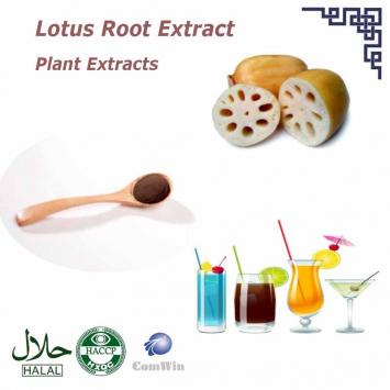 Lotus Root Extract